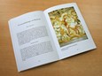 Sticht Brig Boek BHS_7825