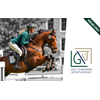 Logo voor LG Sporthorses