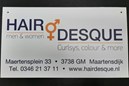 Hairdesque bord 01